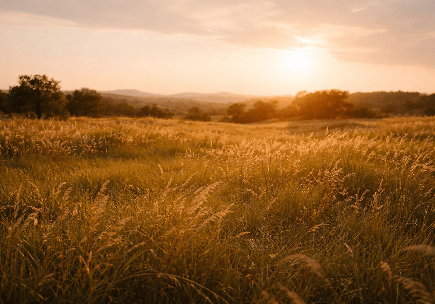 Living in One Place Too Long During Full-Time RV Travel: What We Learned