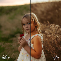 Storm Golden | Lightroom Preset Collection